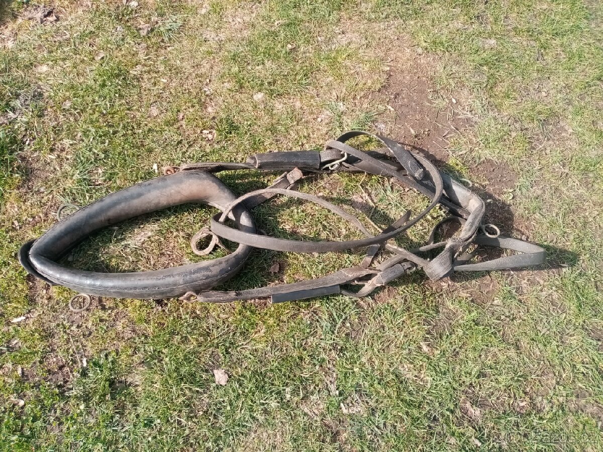 Staré koňské postroje