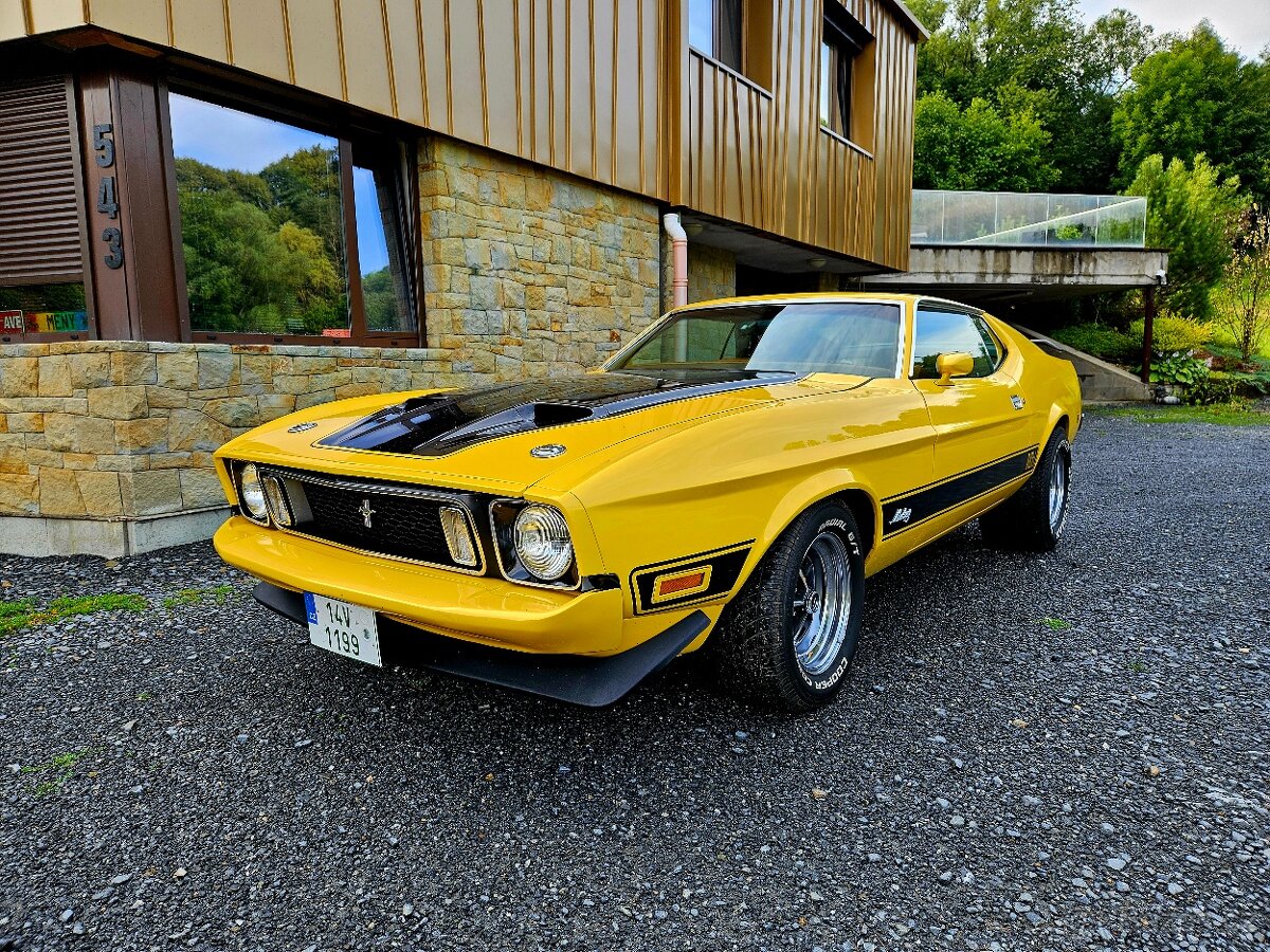 Ford Mustang Mach I. 1972 V8