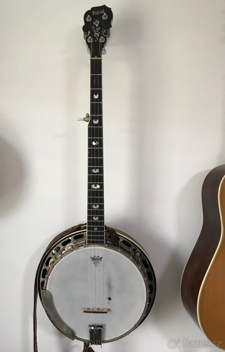 Banjo Čapek