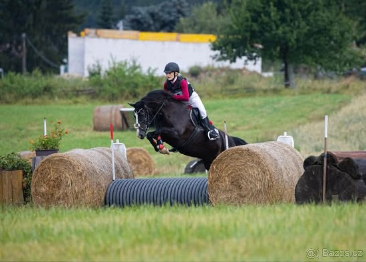 top pony do sportu