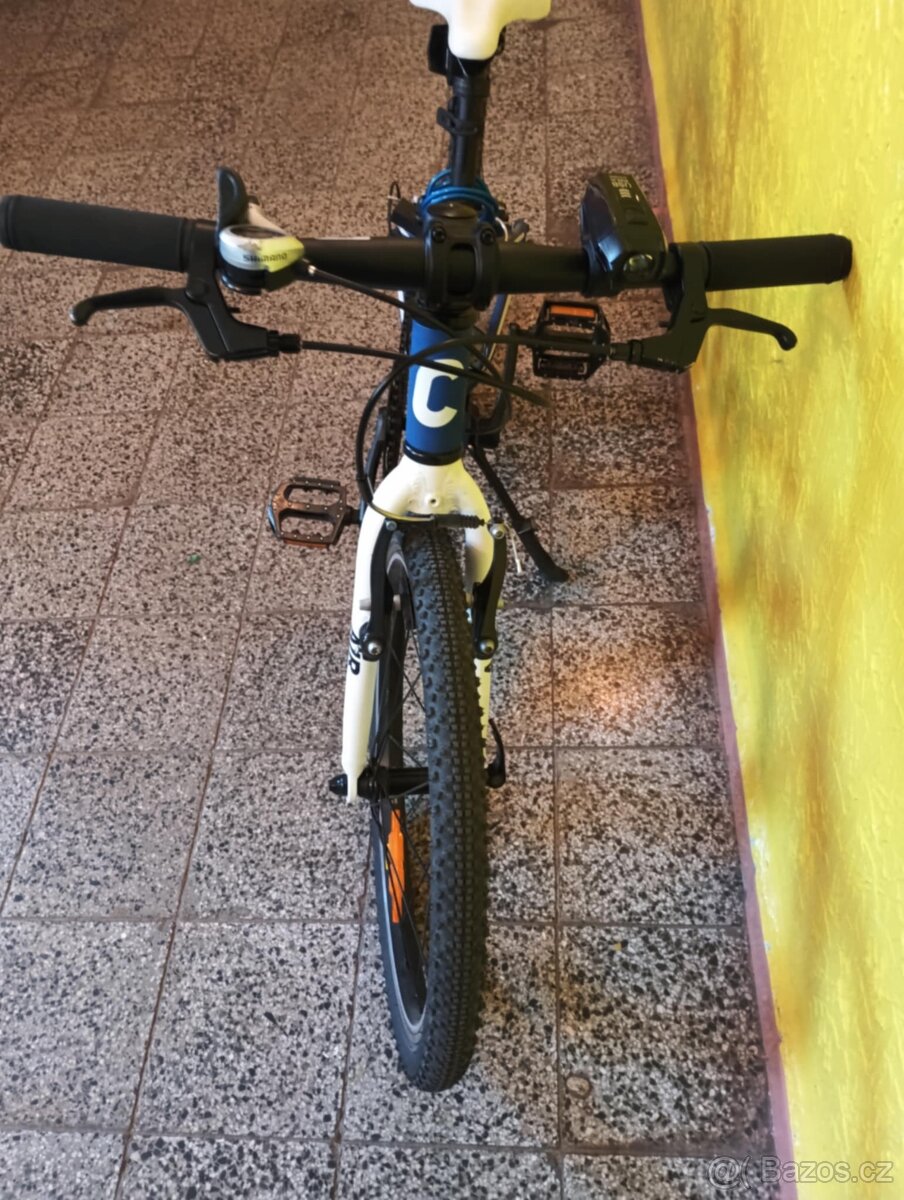 Canull 20