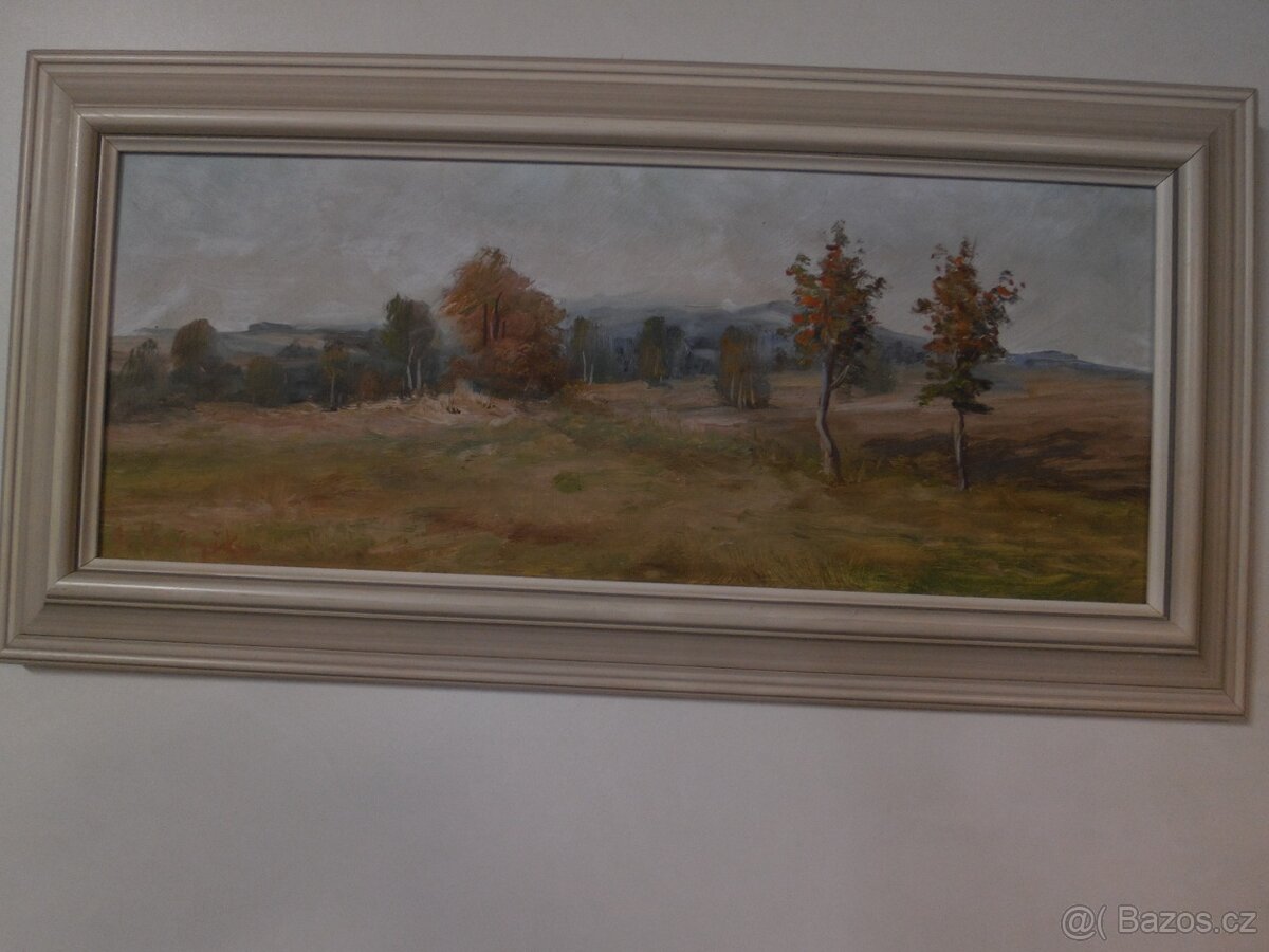 Jeřáby Vysočiny, Slávek Vařejčka 10.1.1935 Vítanov