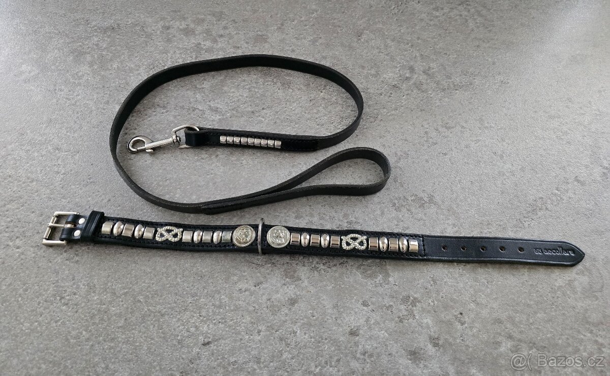 Obojek a vodítko pro stafordšírského bulteriéra