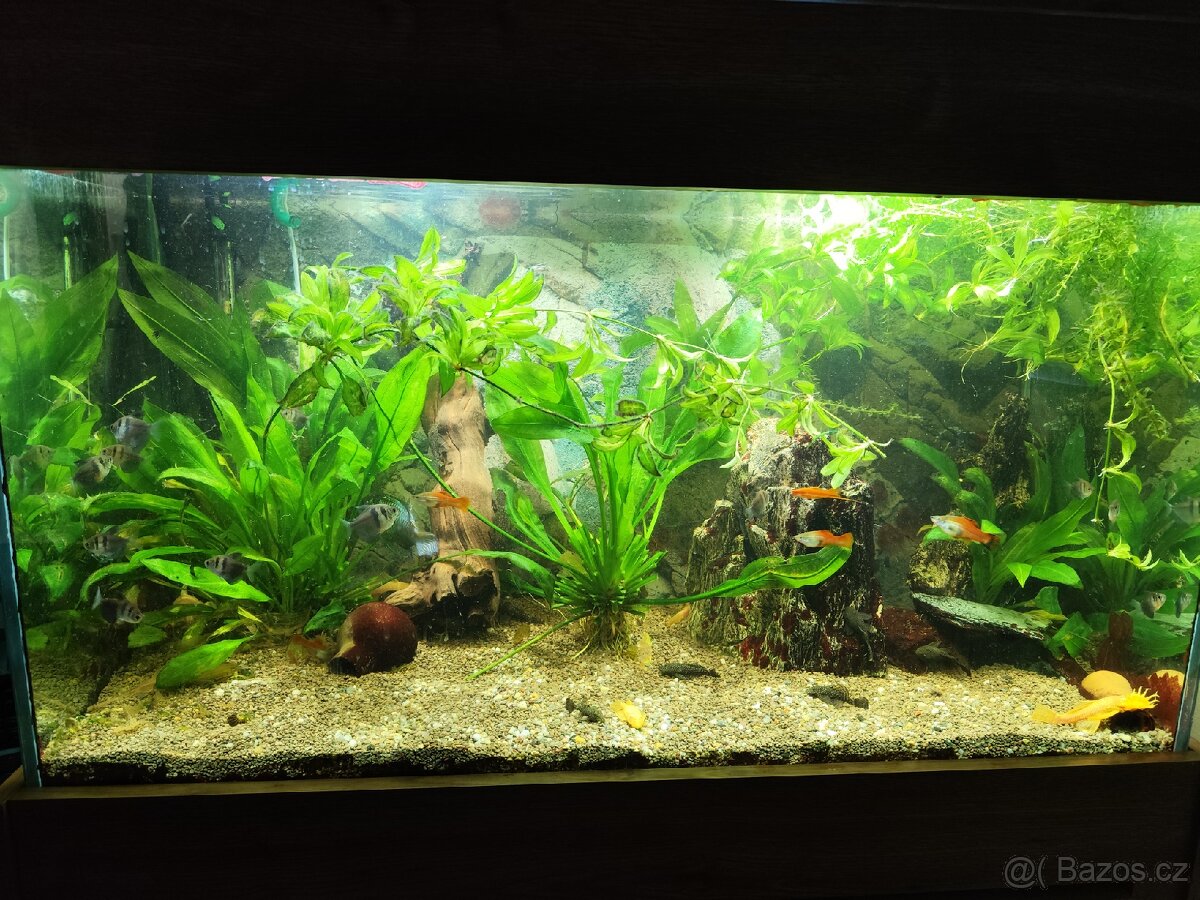 Akvárium 330 l s veškerým příslušenstvím