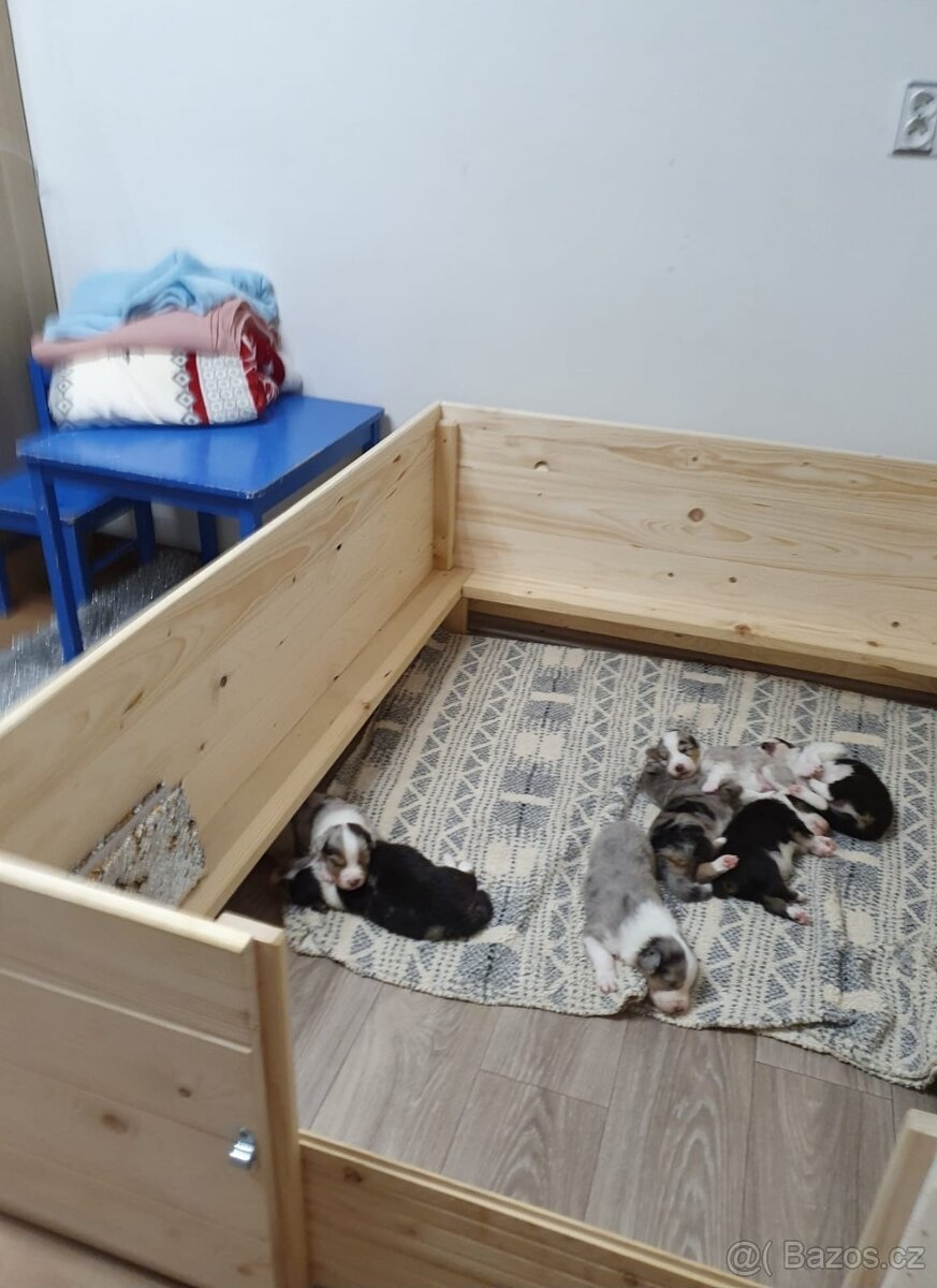 Porodní box, porodnice