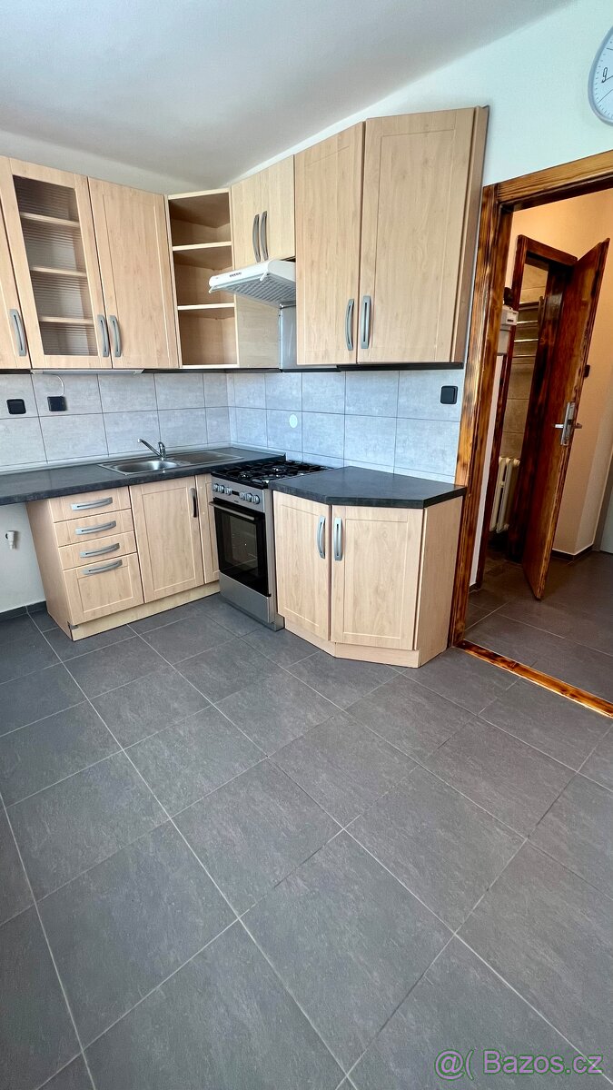 Pronájem bytu 1+1 29 m² se zahradou, Plzeň, bez provize