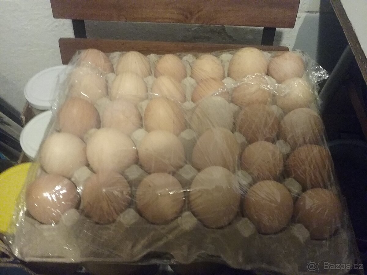 Domácí vajíčka Ledeč nad Sázavou