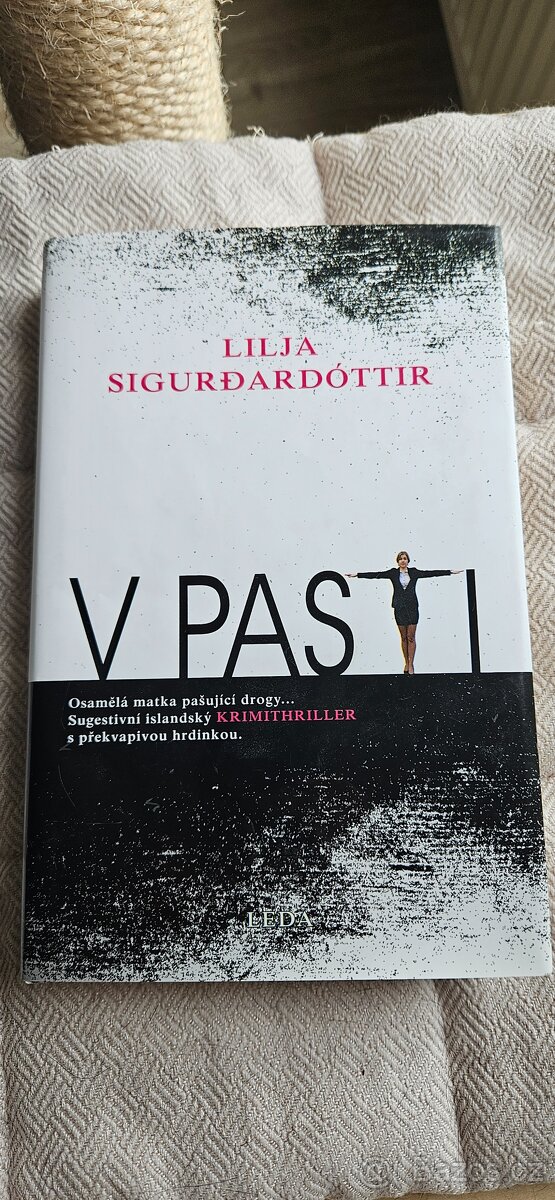 V pasti - Lilja Sigurdardóttir