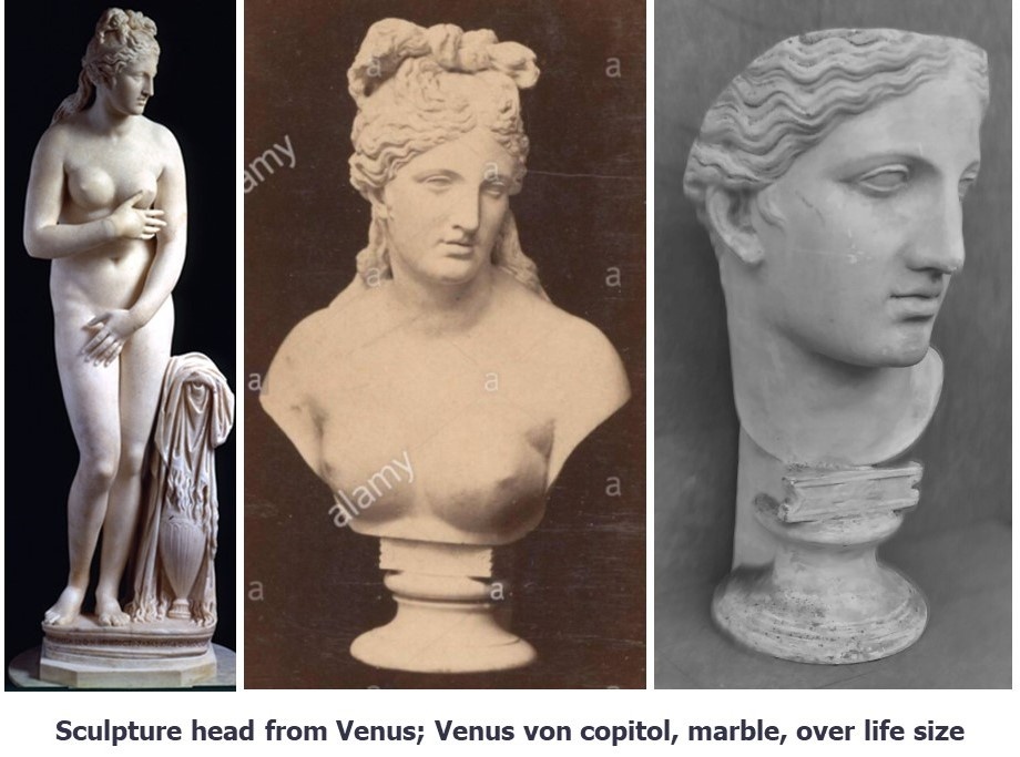 busta Venuše