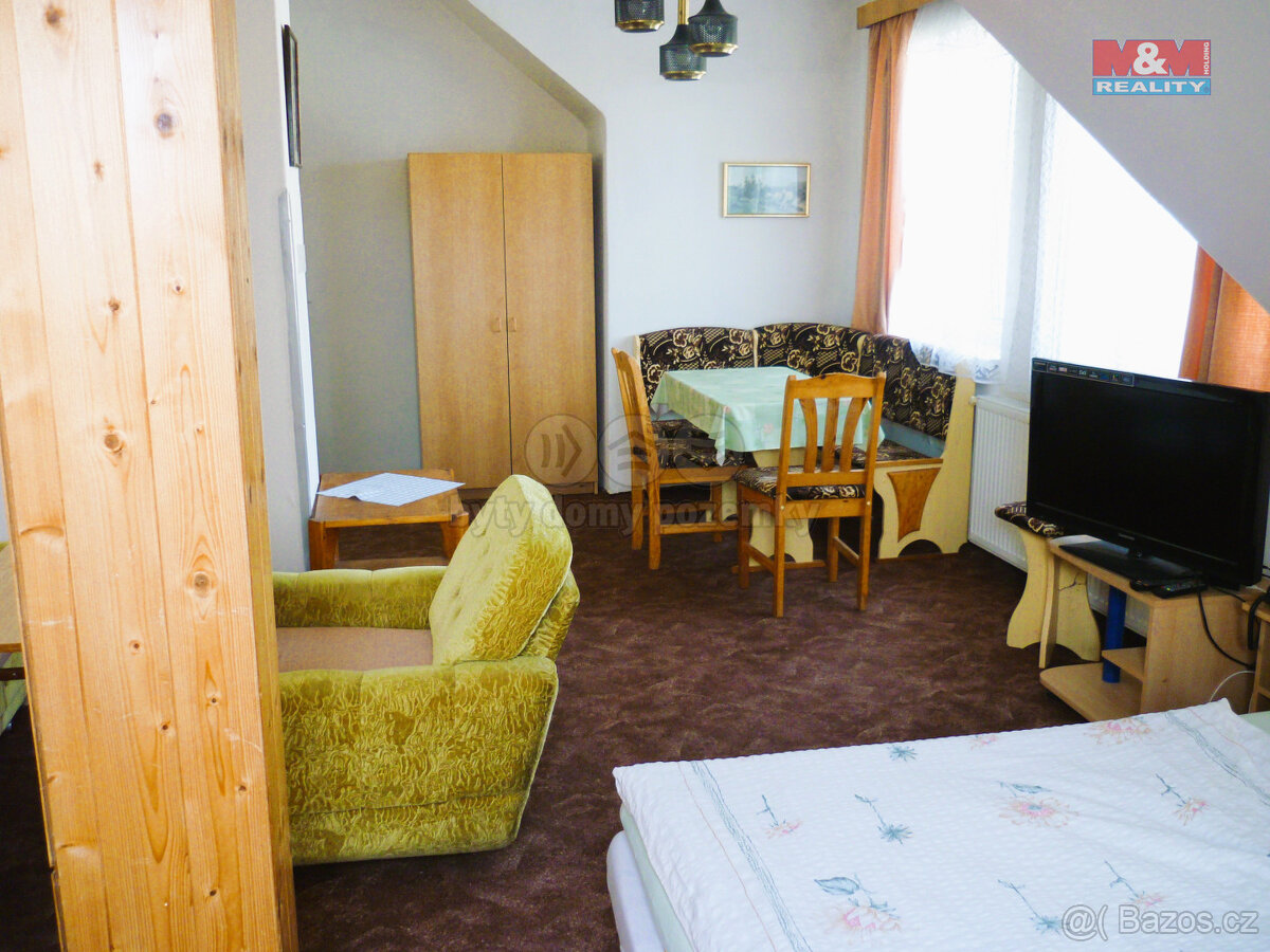 Pronájem bytu 1+1, 43 m², Praha, ul. Budějovická