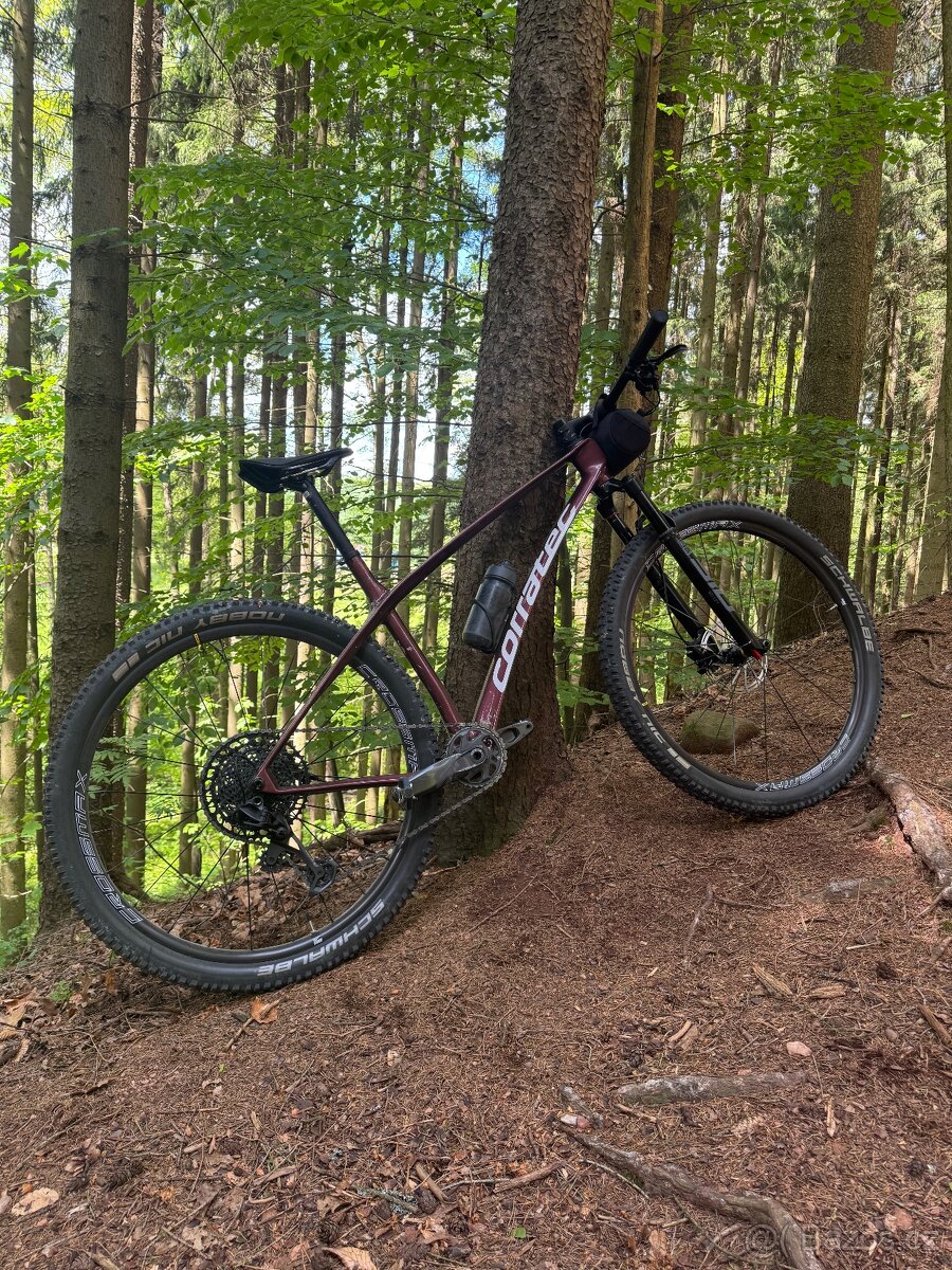 Corratec Revo BOW Elite 2024