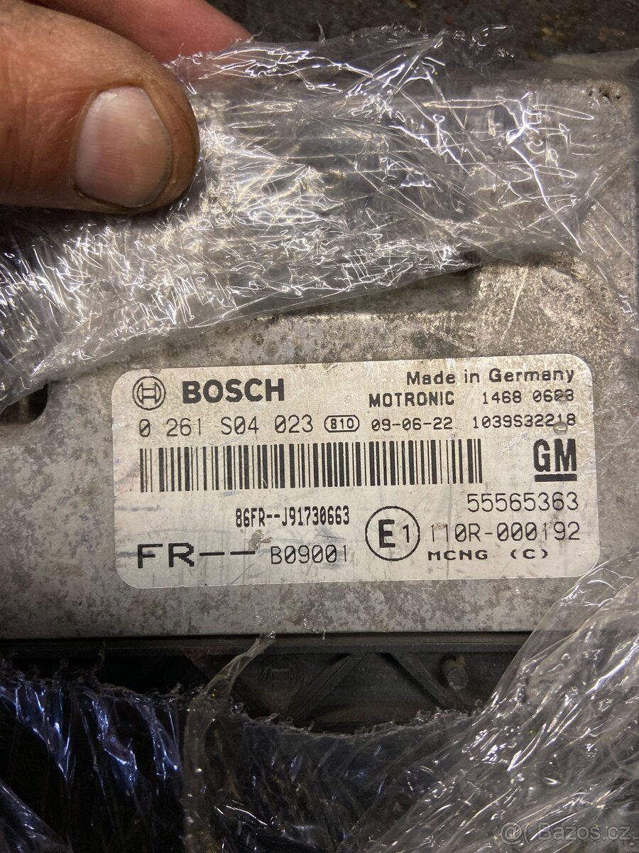 55565363