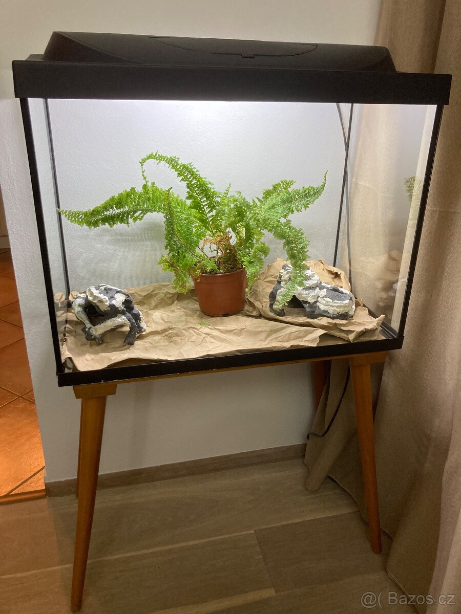 Akvárium 80 l s krytem a světlem