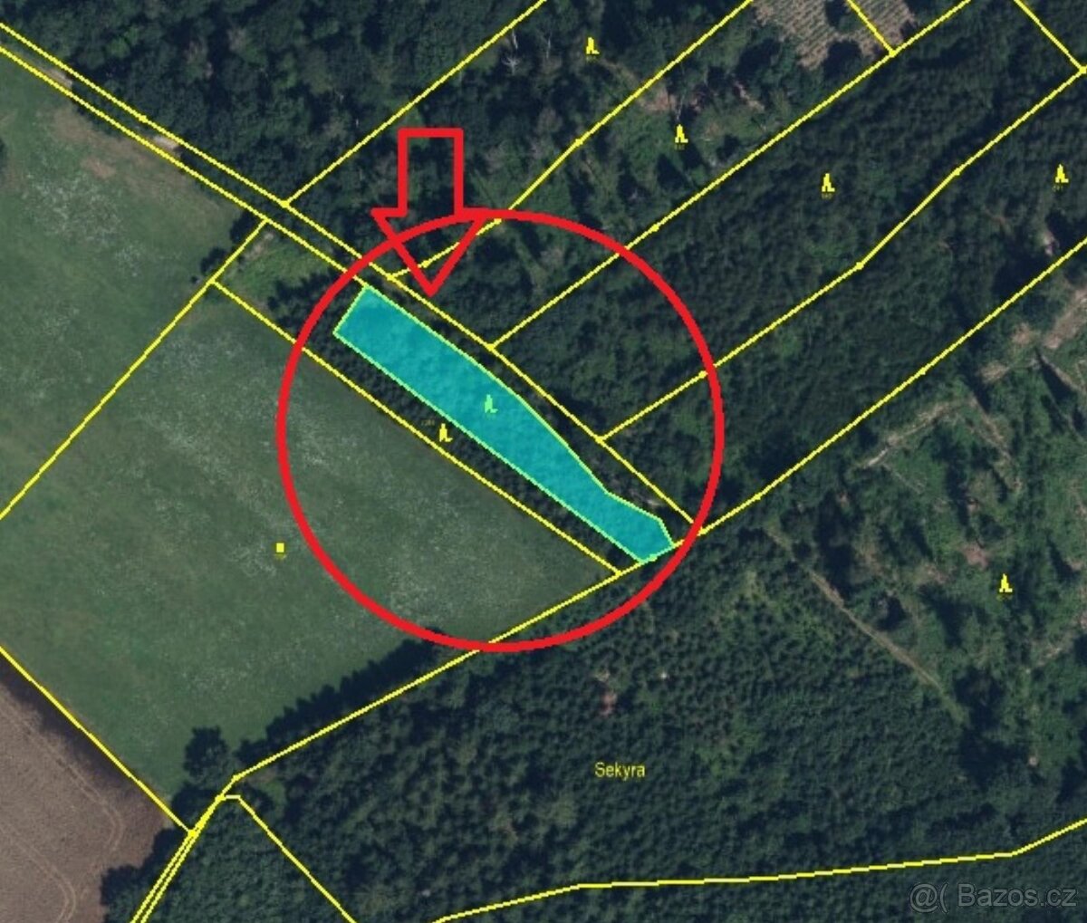 Prodej lesního pozemku v k.ú. Velký Vřešťov