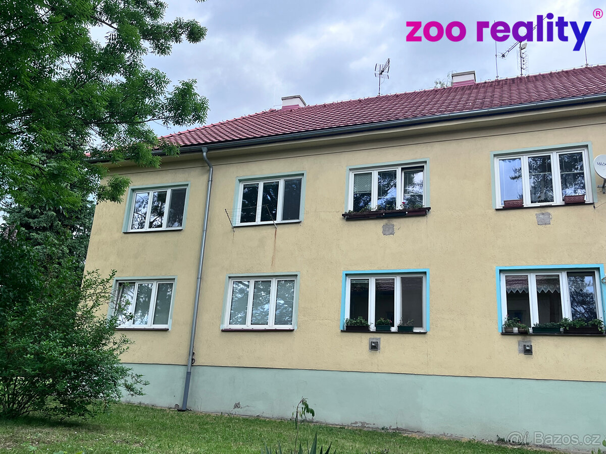 Pronájem bytu 2+1 60m²