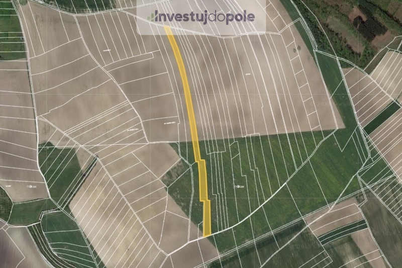 Prodej pole v k.ú. Velenice