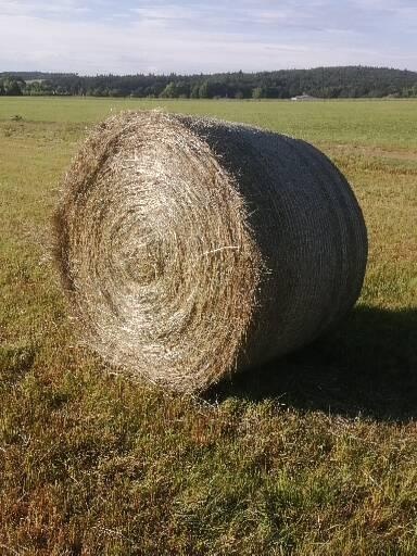 Prodám seno