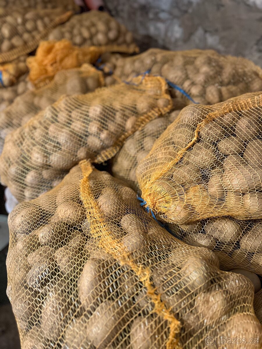 Prodej konzumních brambor