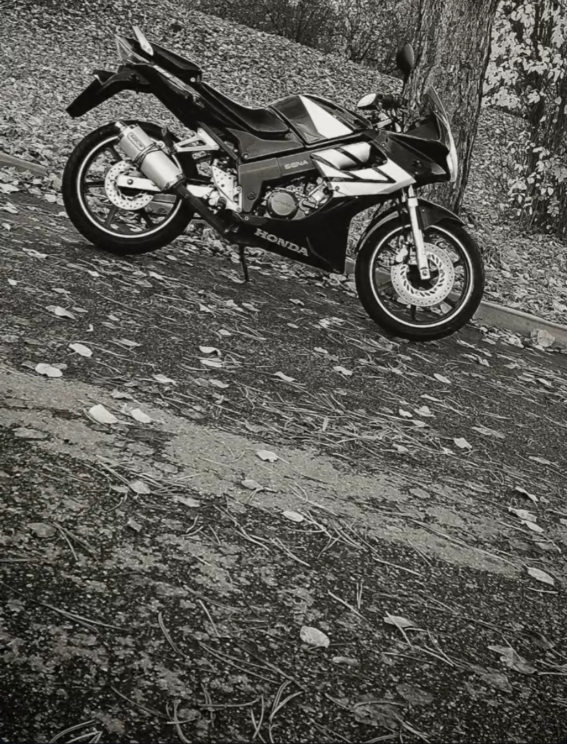 Honda CBR 125R 4T, r. 2006 – po servisu, spolehlivá motorka