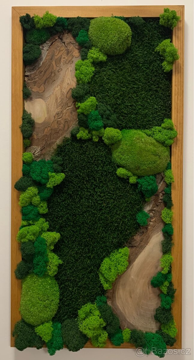 Mechový obraz - 80x40 - NOVÉ