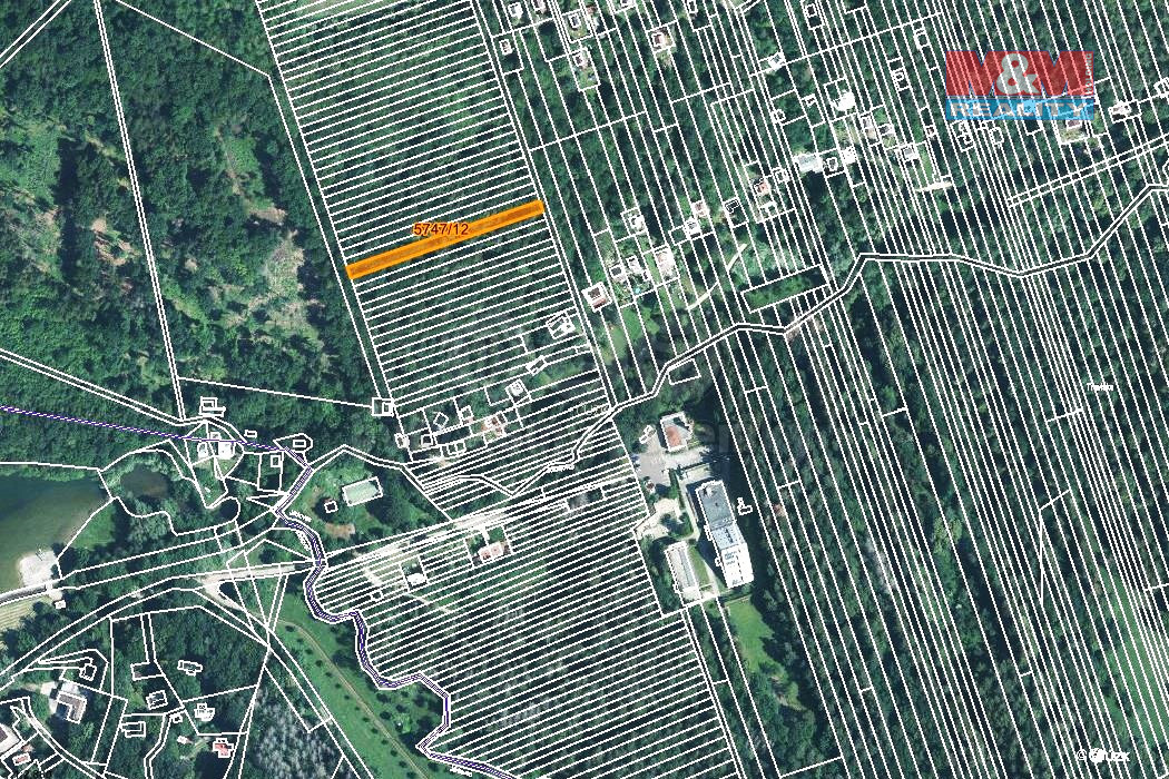Prodej lesa, 953 m², Kněždub