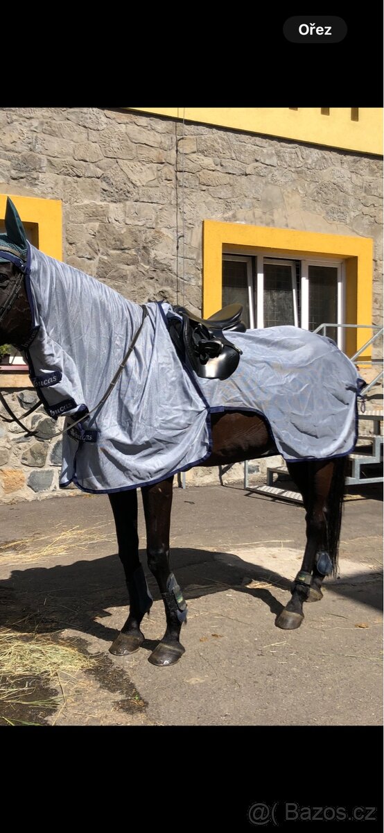 Bucas jezdecká síťová deka, 145 cm