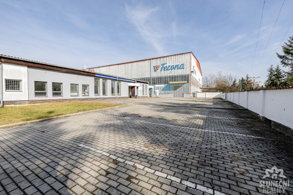 Pronájem obchodních prostor 299 m² ve Starém Městě