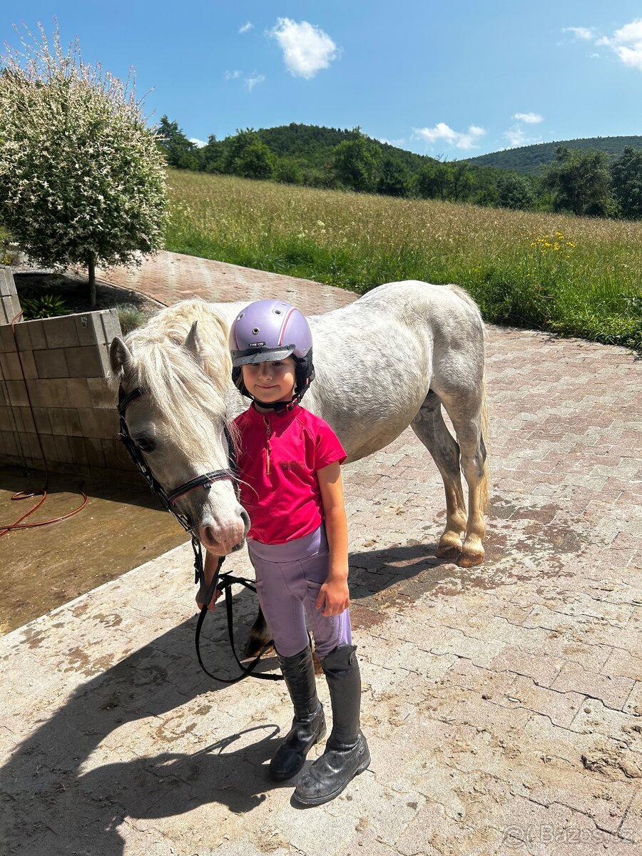 Predam sikovneho S pony