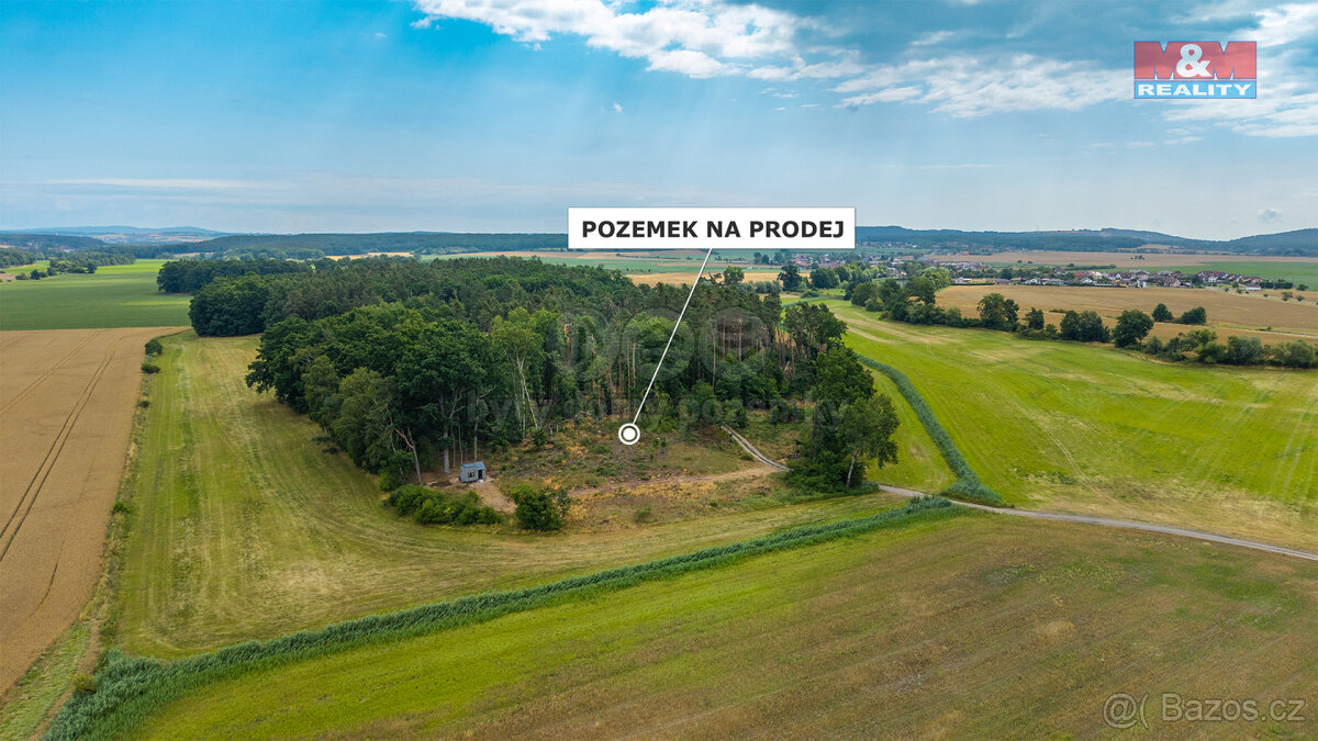 Prodej lesa, 5176 m², Dlouhá Lhota
