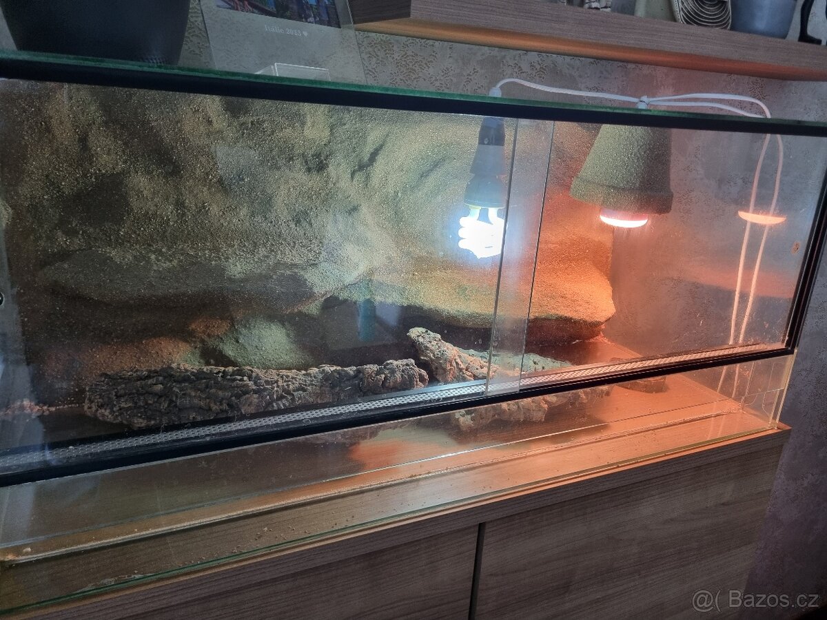 Terarium vhodne pro Agamu