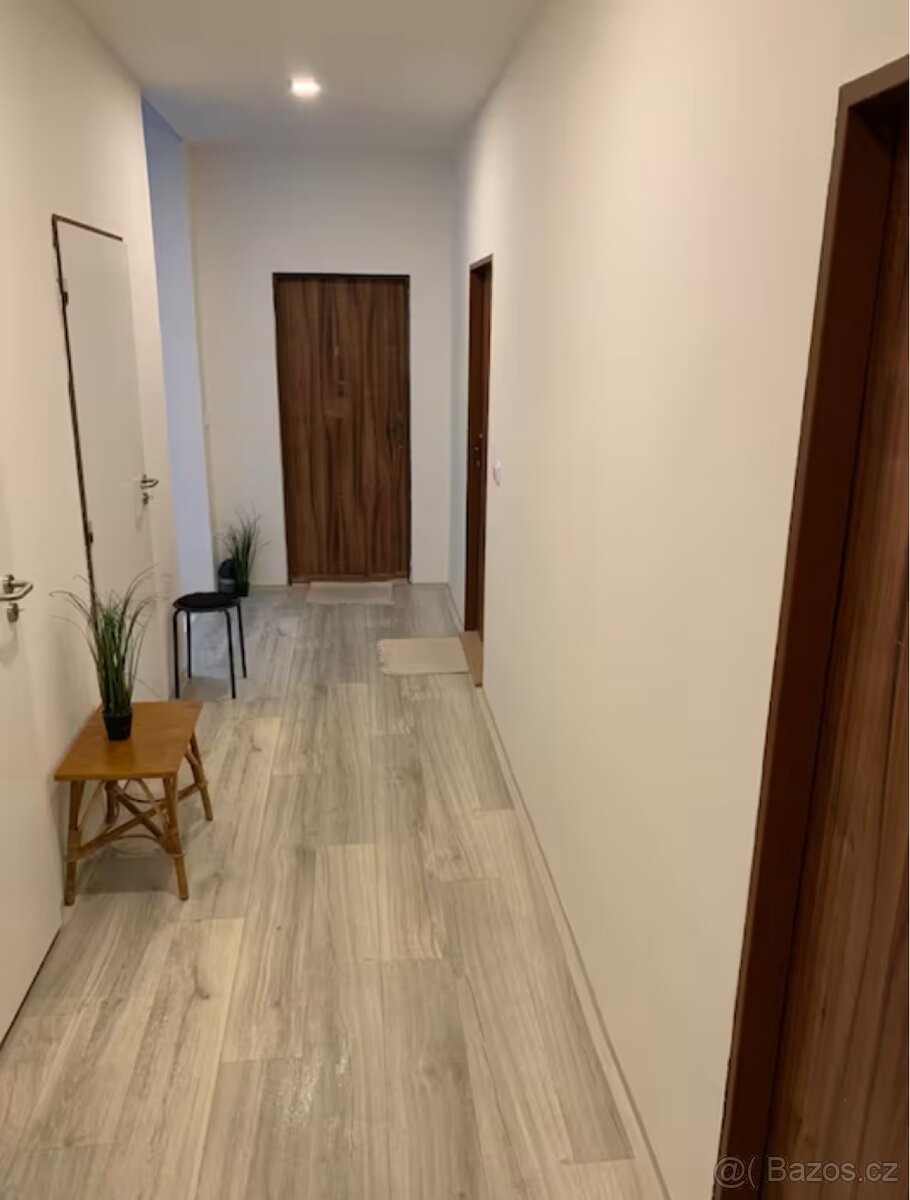 Pronájem plně zařízeného 1+kk bytu