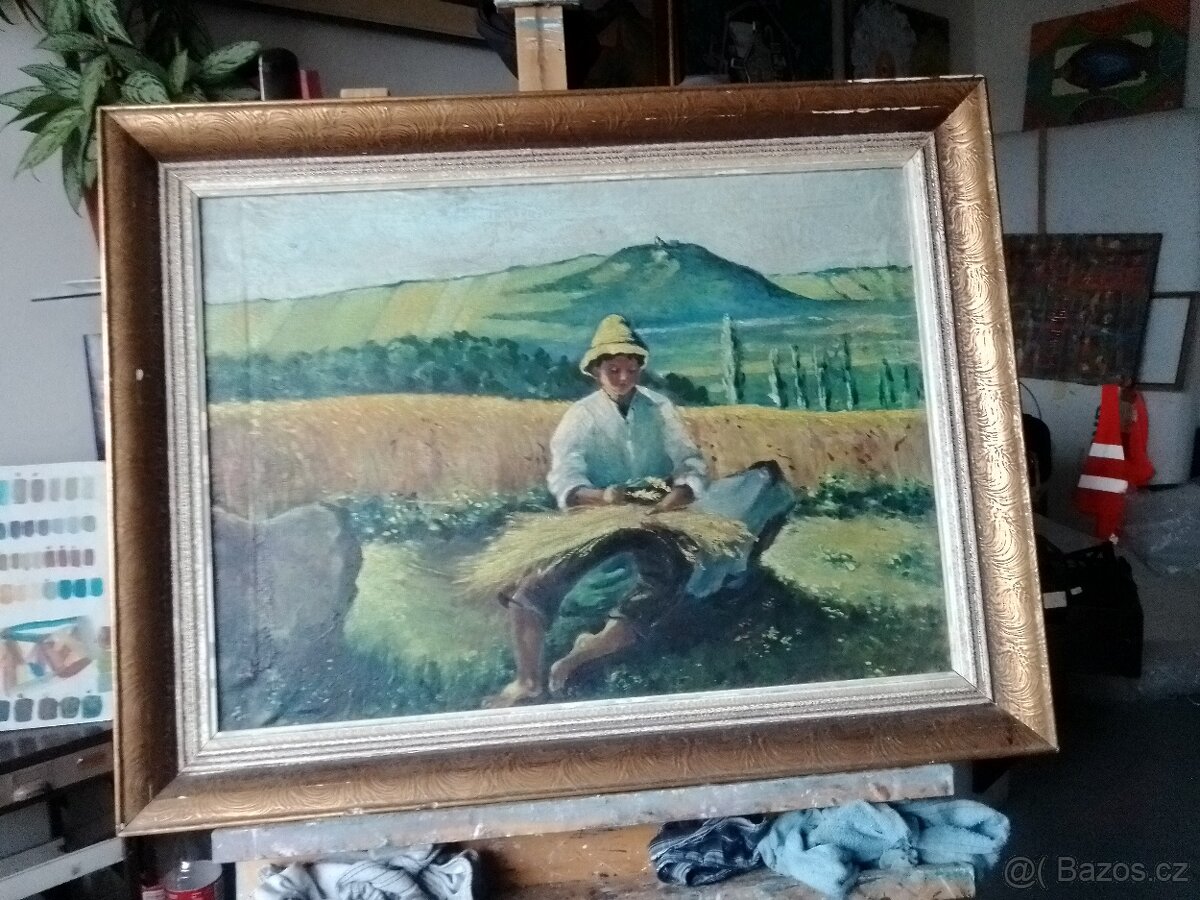Chlapec ve Žních. Neznámý autor. Olej/plátno-rám.