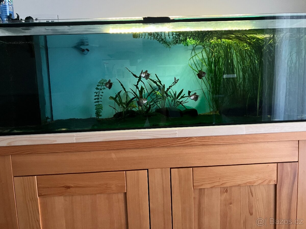 Prodám akvárium 200l, 120-40-40cm
