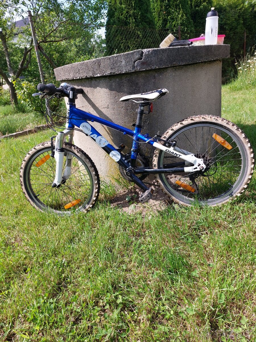 Detské kolo velikost 20 giant