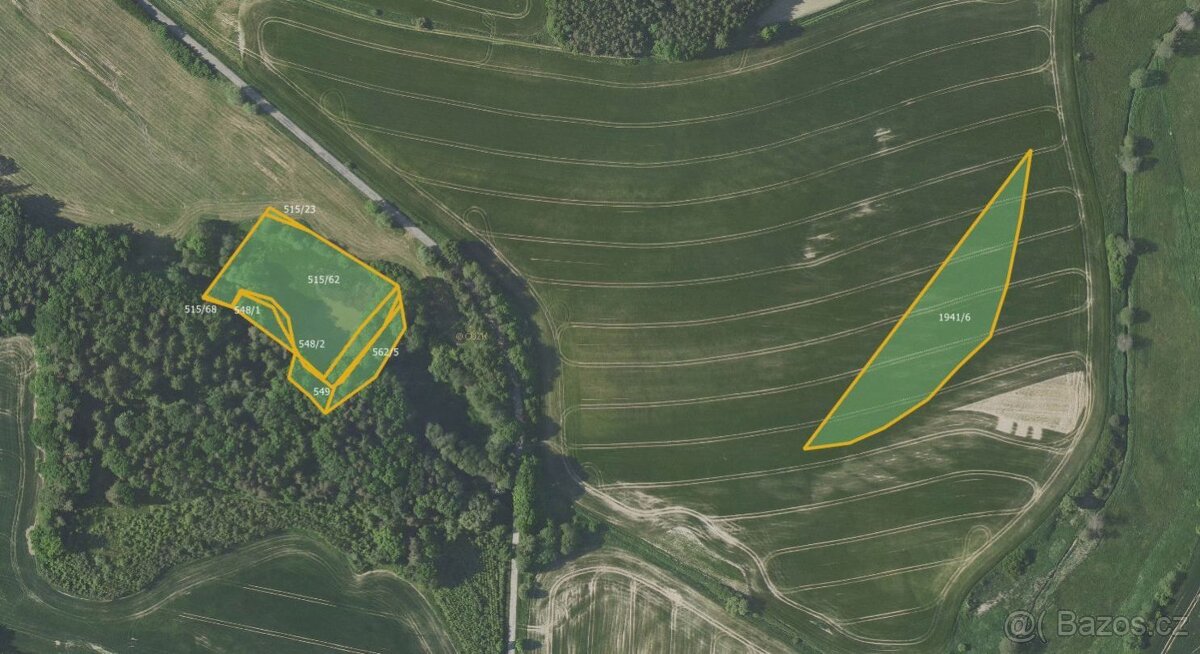 Zemědělská půda, prodej, Kobylí a Plchov, Bystřice, Benešov