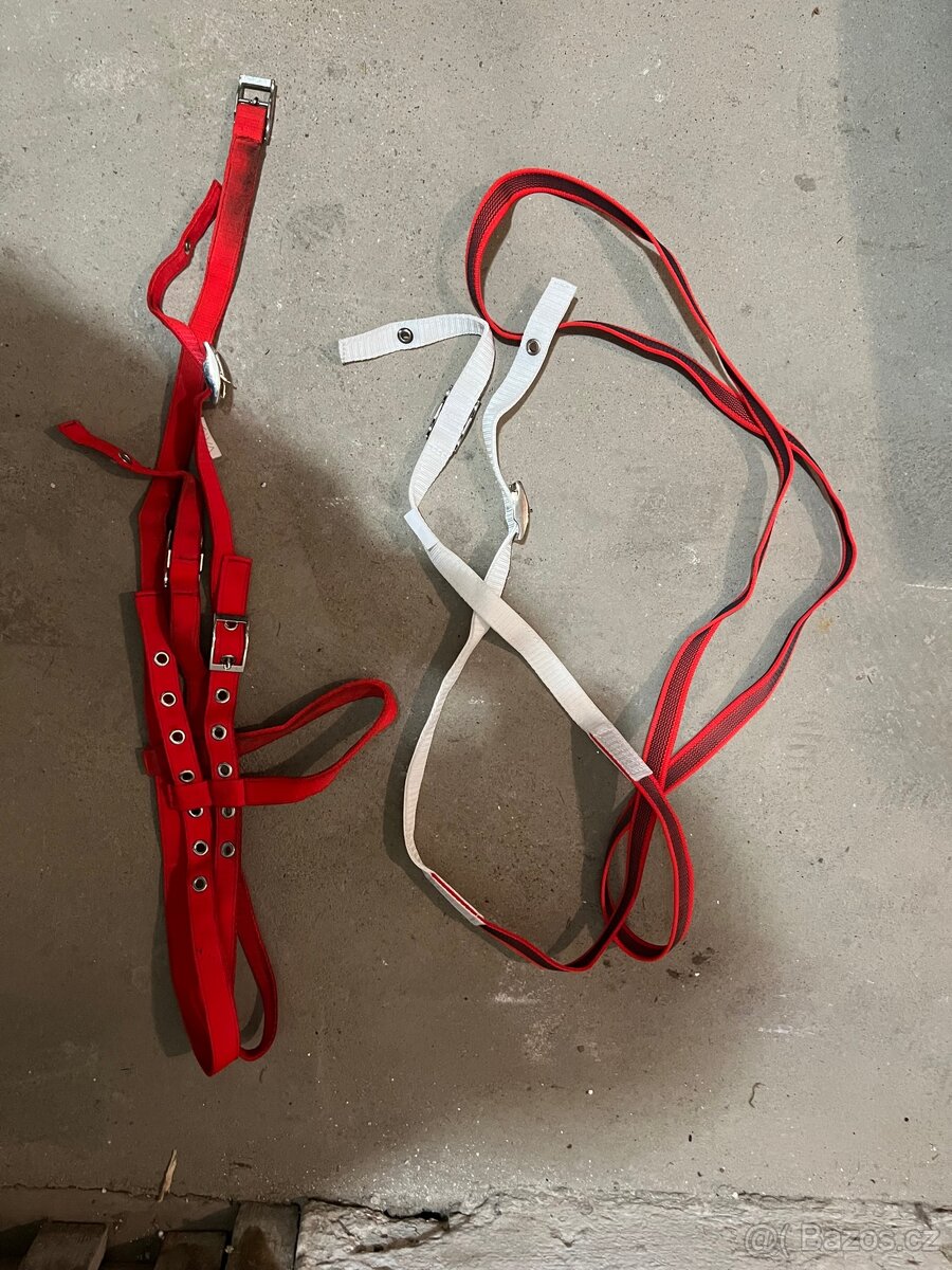 Uzdečka červená