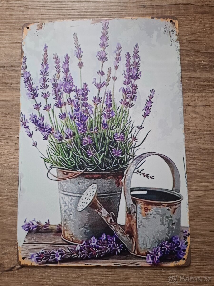 Plechová cedule 20x30cm levandule