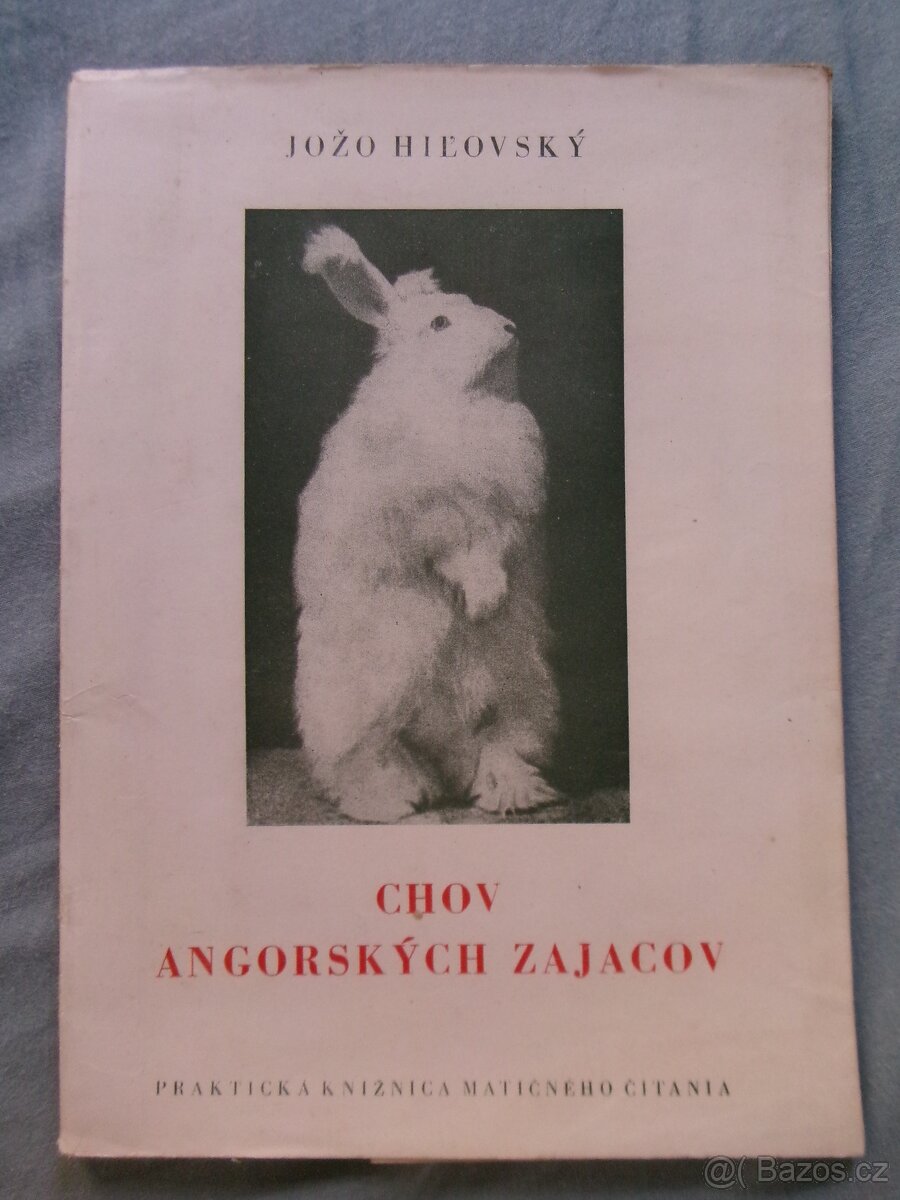 Chov angorských zajacov - Jožo Hiľovský.