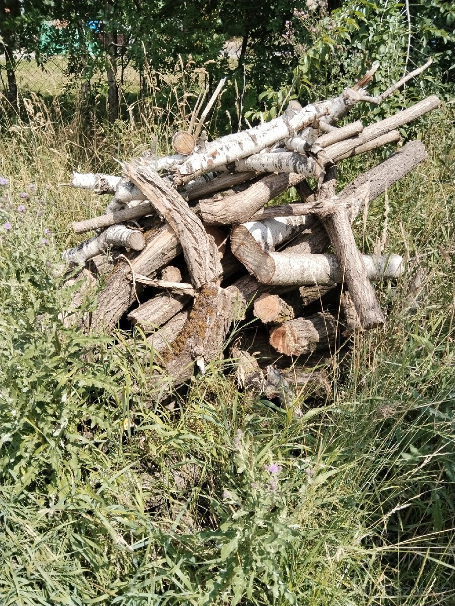 Palivové dřevo