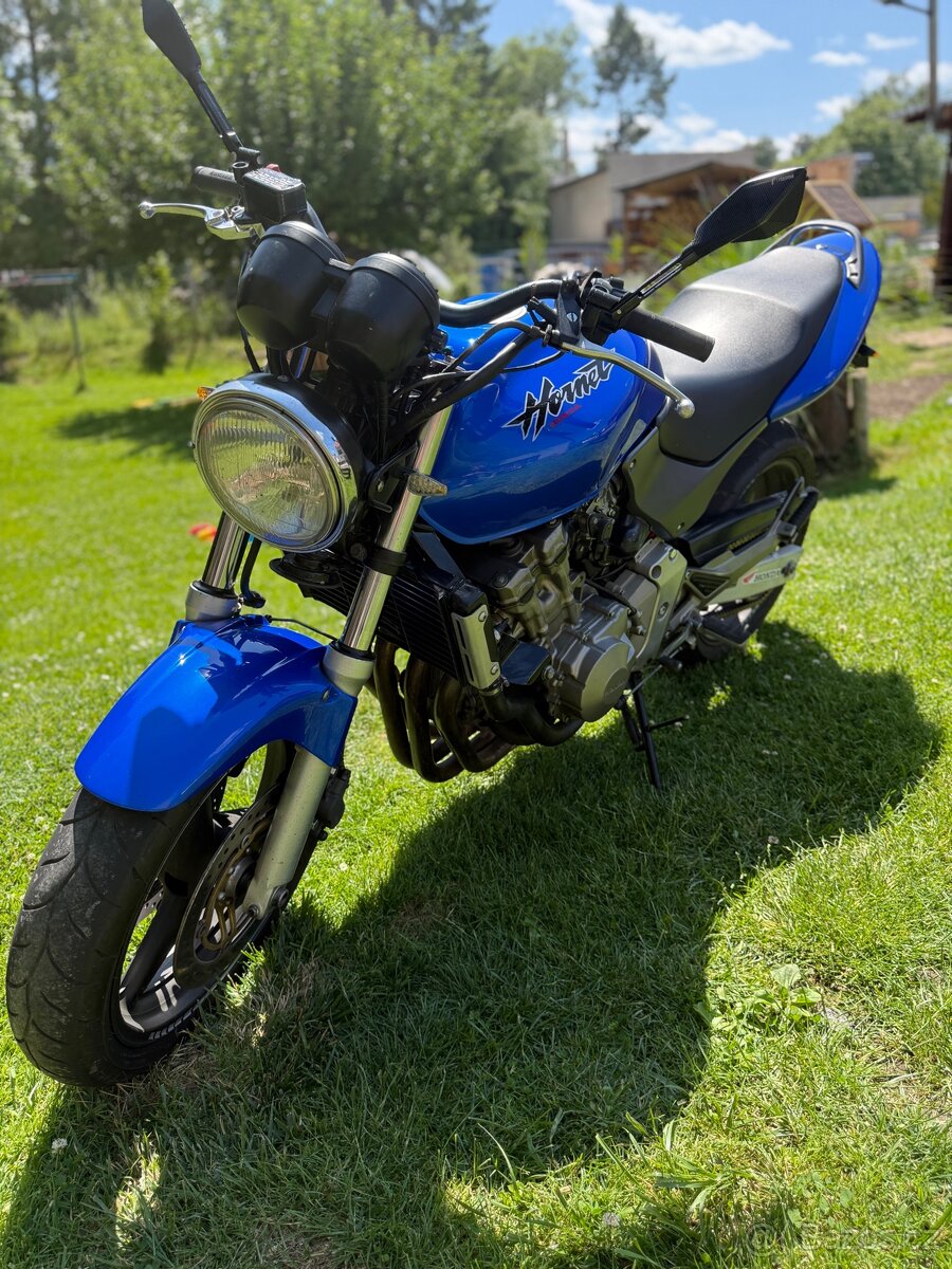 Hornet 600f