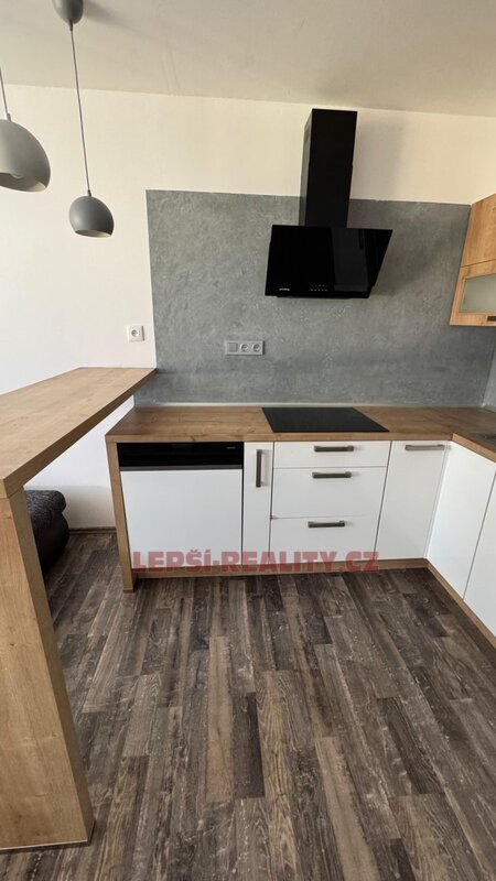 Pronájem zrekonstruovaného bytu 1+1, 47 m2, ul. Brněnská v