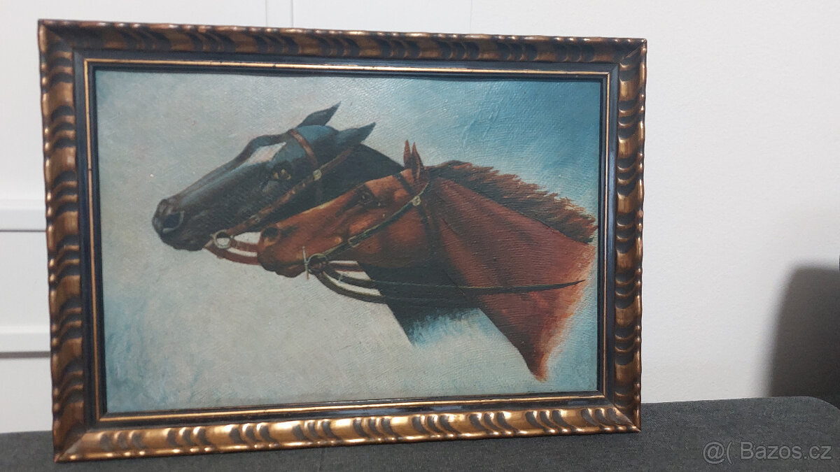 Obraz koně