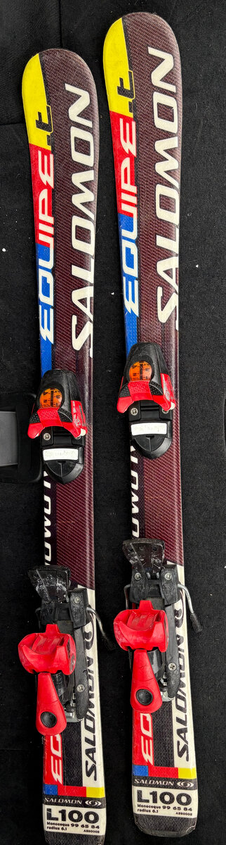 Salomon Equipe 100 + hůlky carbon 75