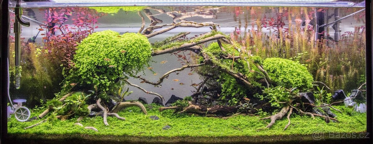 Akvárium 300L