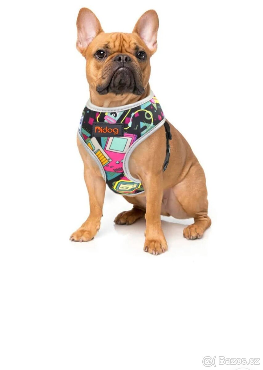 Postroj a vodítko na psa