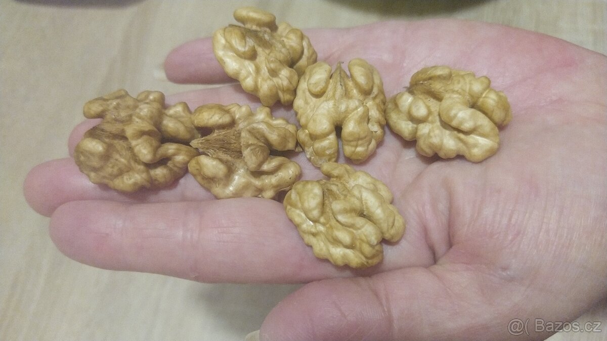 Vlašské ořechy loupané