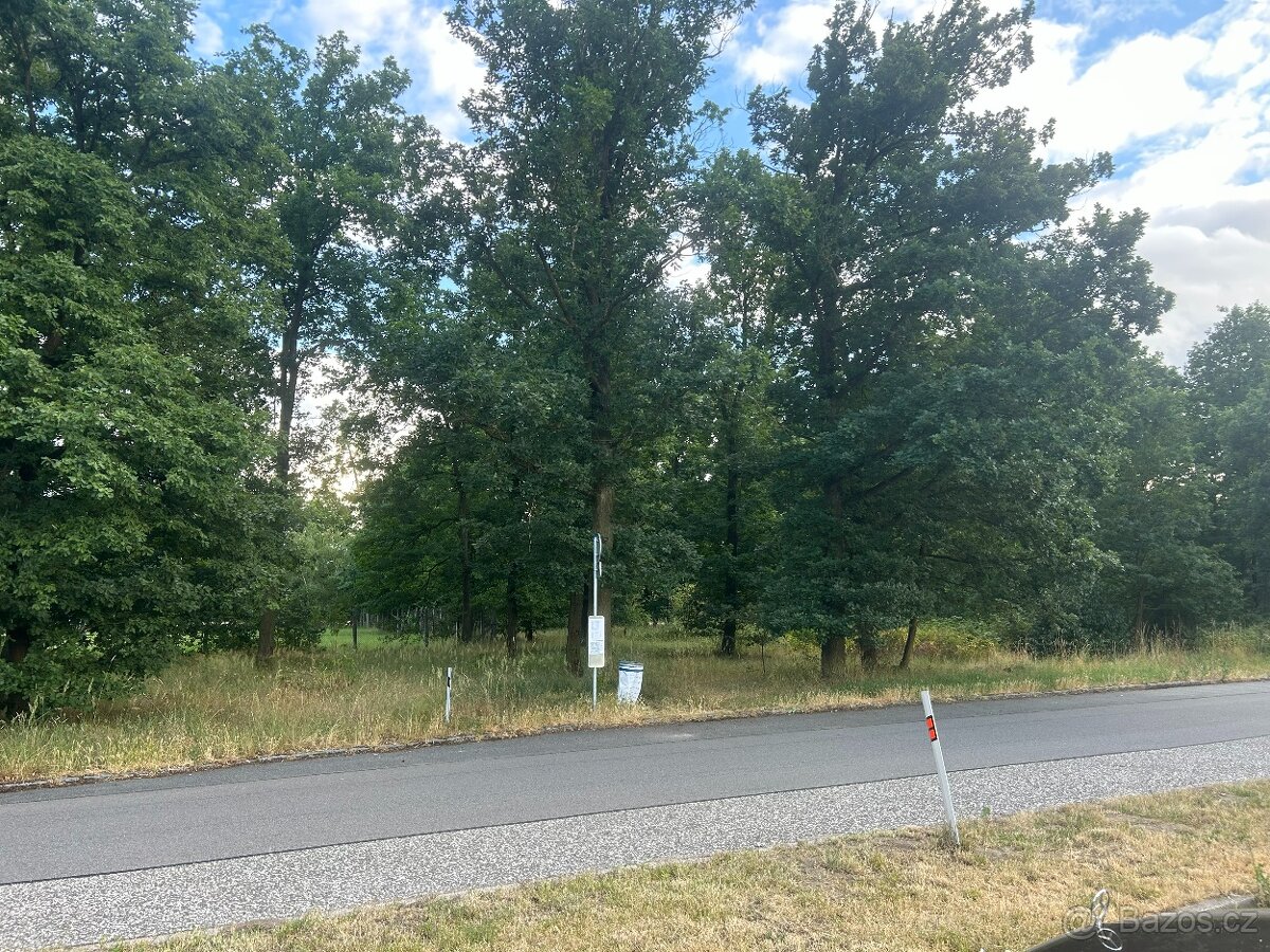 Nabízím pozemek či les velké užití