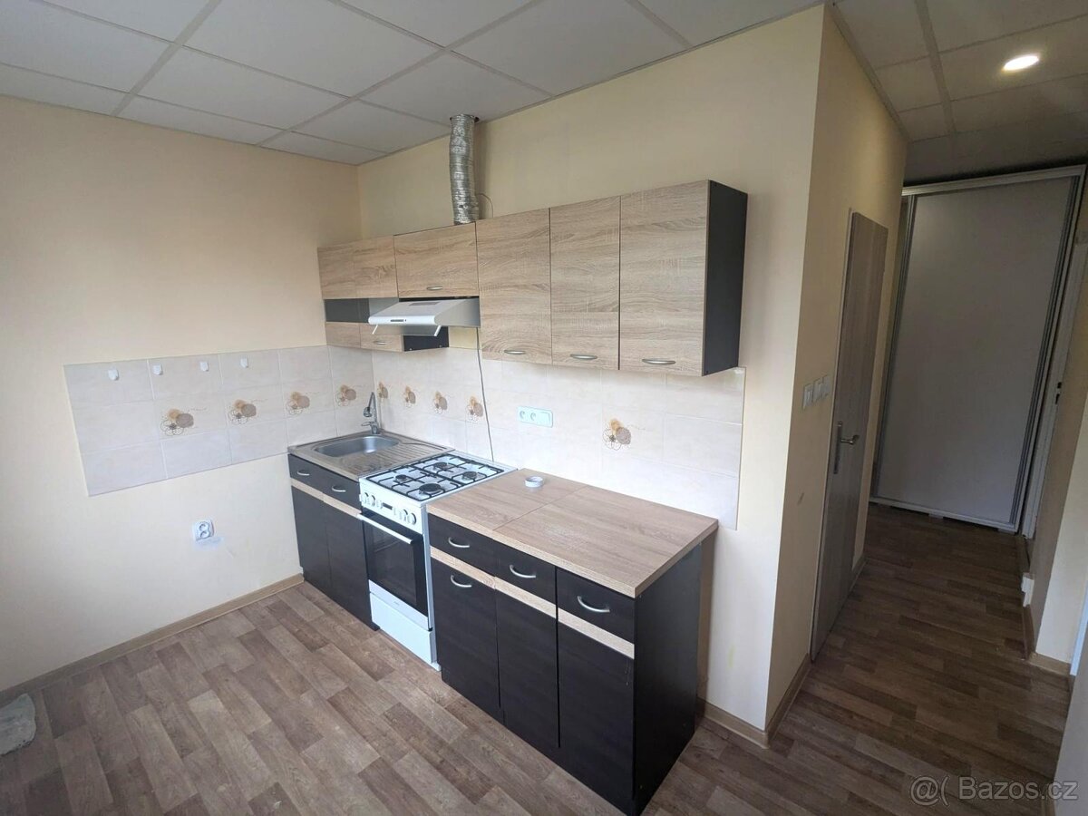 Pronájem bytu 2+1, M. Švabinského 618, Bílina