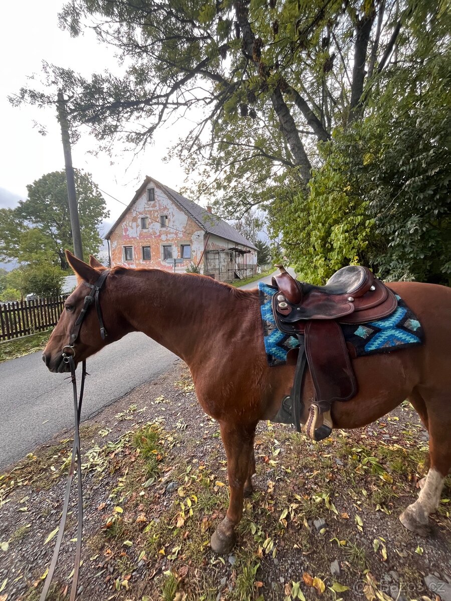 Westernové sedlo Diamond C