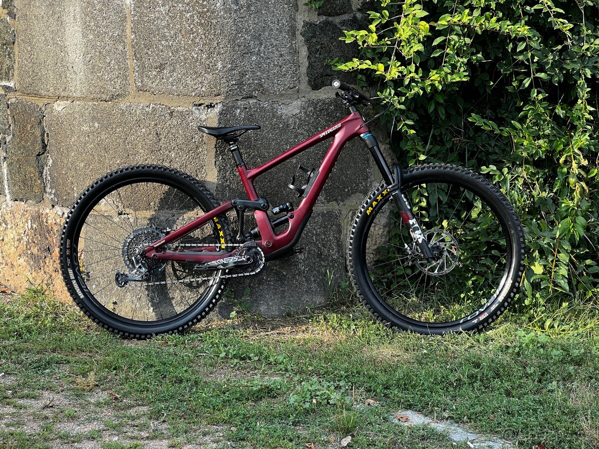 2021 Specialized Enduro Expert S2